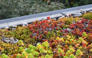 the cost of Ure green roof installation
