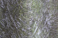 Ure fibreglass roof work